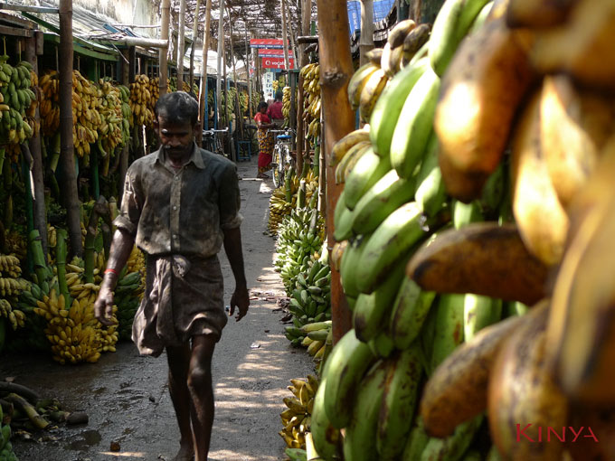 Bananenmarkt