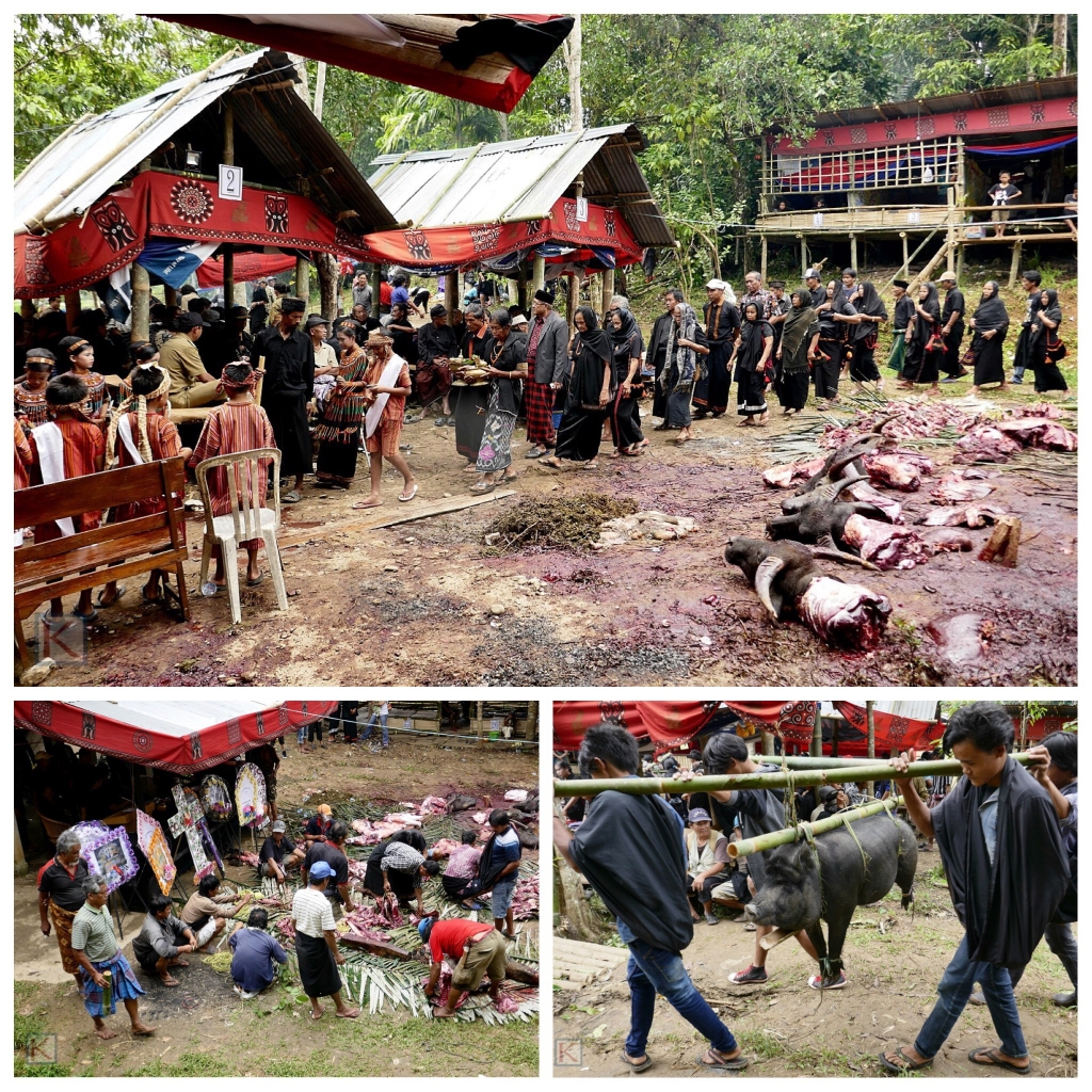 Begrafenisceremonie in Toraja, Sulawesi